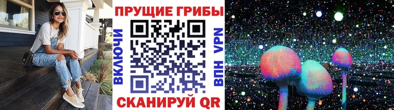 Псилоцибиновые грибы прущие грибы  МЕГА зеркало  Петропавловск-Камчатский 