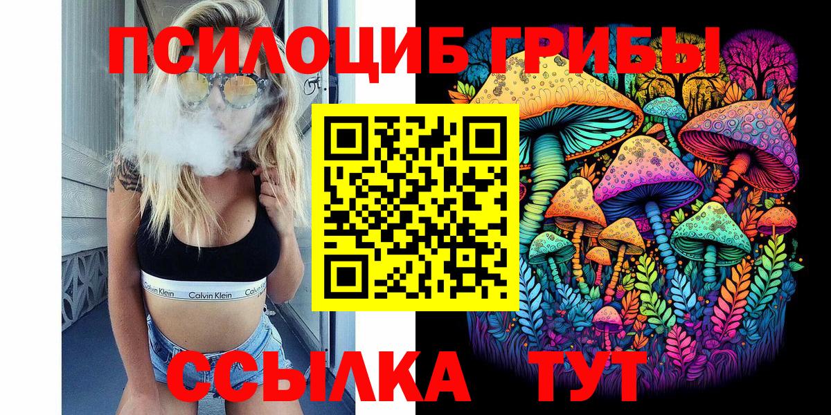 Галлюциногенные грибы MAGIC MUSHROOMS  Вход с VPN  Петропавловск-Камчатский 
